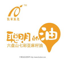 理解代理信息 定義、類型與應用場景