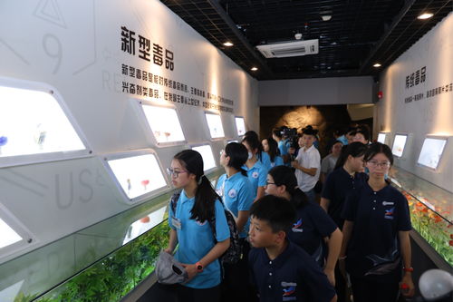 粵港澳大灣區禁毒文化交流活動在深圳舉行，以文化藝術助力禁毒宣傳